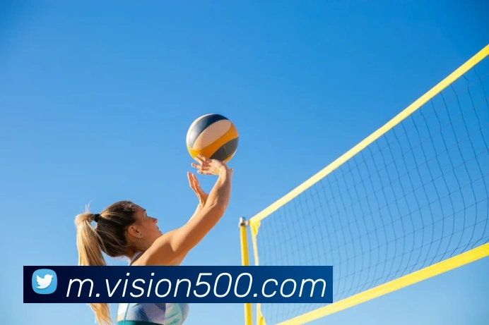 500彩票平台生态图